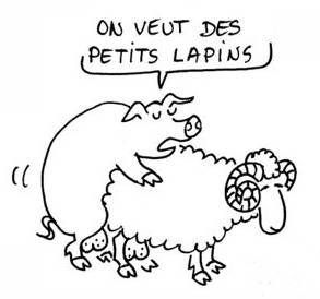 http://a141.idata.over-blog.com/293x274/1/51/36/54/France/Konk006.jpg