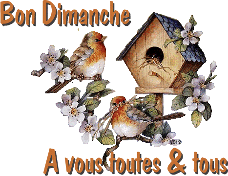 Bonjour tout le monde - Page 13 Dimanche--nid-oiseaux-